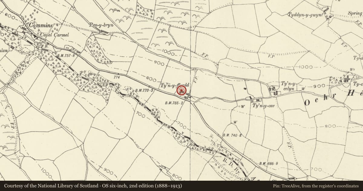 Ordnance Survey six-inch map, 2nd edition (1888–1913) covering the location of Former cruck house in Tan-y-ffordd farmyard, Llanrhaeadr-ym-Mochnant, Powys, with a pin at the register's coordinates