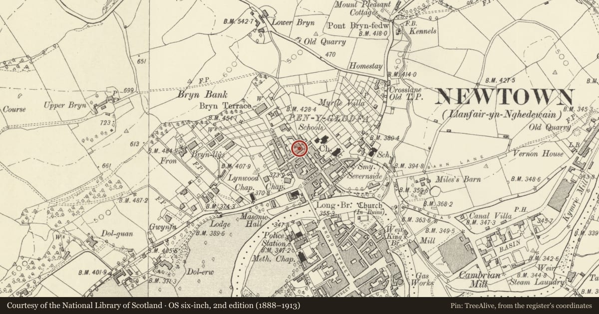 Ordnance Survey six-inch map, 2nd edition (1888–1913) covering the location of Outbuildings to rear of No.20 Union Street, Newtown and Llanllwchaiarn, Powys, with a pin at the register's coordinates