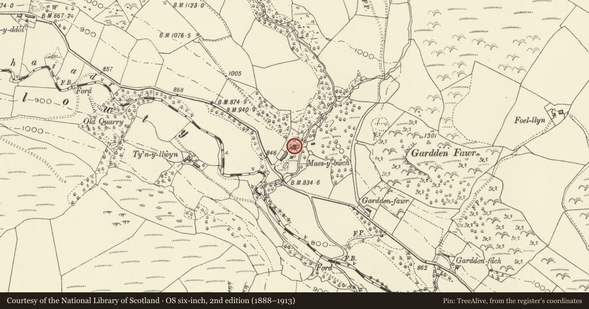 Ordnance Survey six-inch map, 2nd edition (1888–1913) covering the location of Maes-y-bwch, Llanrhaeadr-ym-Mochnant, Powys, with a pin at the register's coordinates