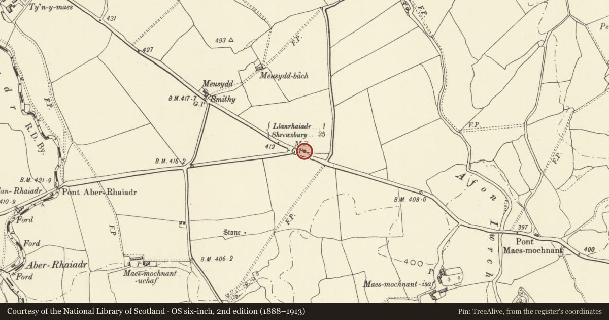 Ordnance Survey six-inch map, 2nd edition (1888–1913) covering the location of Milestone beside the B4580/B4396 junction, Llanrhaeadr-ym-Mochnant, Powys, with a pin at the register's coordinates