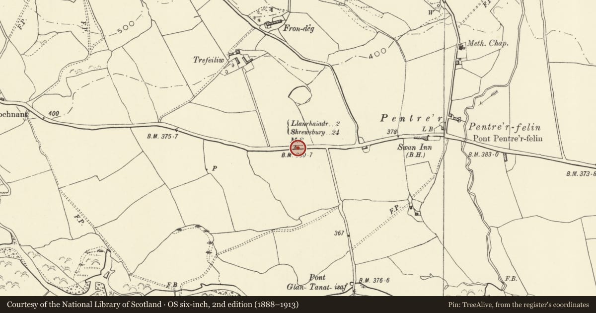 Ordnance Survey six-inch map, 2nd edition (1888–1913) covering the location of Milestone near Pentrefelin, Llanrhaeadr-ym-Mochnant, Powys, with a pin at the register's coordinates