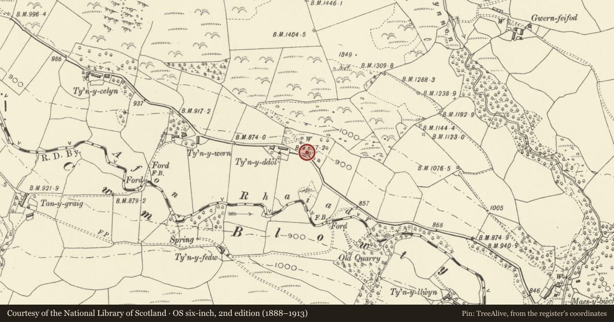 Ordnance Survey six-inch map, 2nd edition (1888–1913) covering the location of Milestone near Tyn-y-ddôl, Llanrhaeadr-ym-Mochnant, Powys, with a pin at the register's coordinates