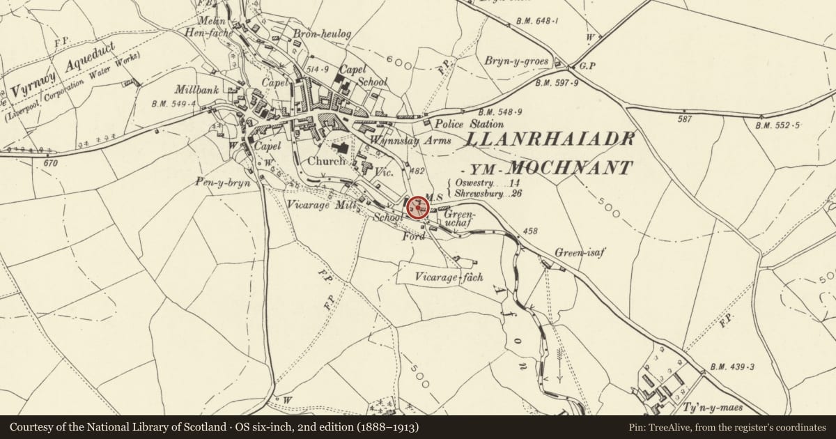 Ordnance Survey six-inch map, 2nd edition (1888–1913) covering the location of The Green Stone, Llanrhaeadr-ym-Mochnant, Powys, with a pin at the register's coordinates