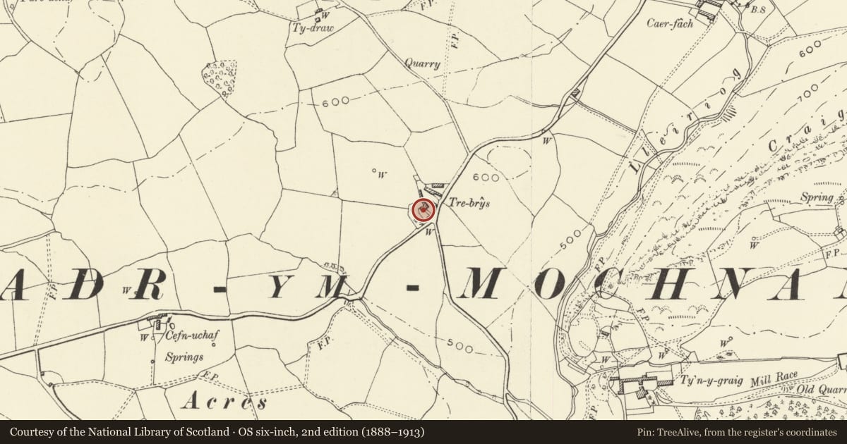 Ordnance Survey six-inch map, 2nd edition (1888–1913) covering the location of Trebrys, Llanrhaeadr-ym-Mochnant, Powys, with a pin at the register's coordinates