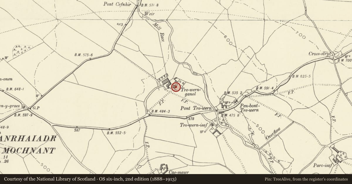 Ordnance Survey six-inch map, 2nd edition (1888–1913) covering the location of Trewern, Llanrhaeadr-ym-Mochnant, Powys, with a pin at the register's coordinates