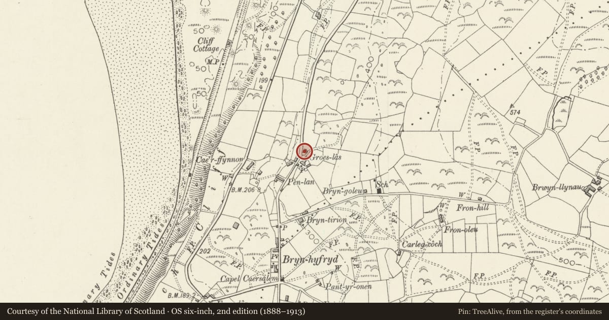 Ordnance Survey six-inch map, 2nd edition (1888–1913) covering the location of Groes Las, Llanfair, Gwynedd, with a pin at the register's coordinates