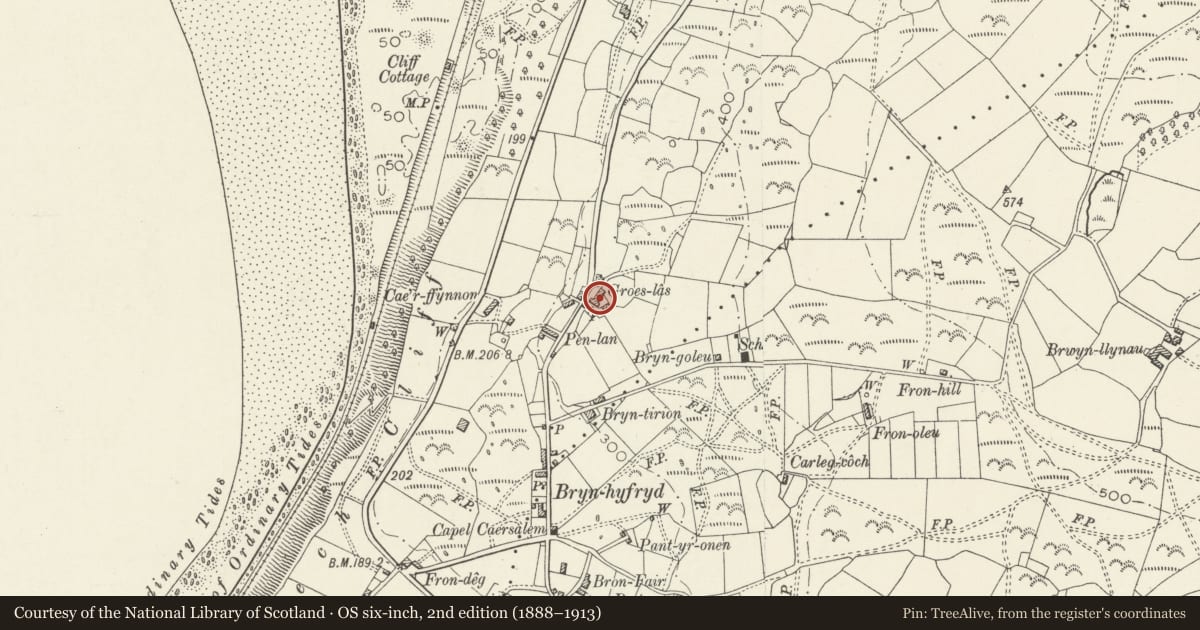 Ordnance Survey six-inch map, 2nd edition (1888–1913) covering the location of Farm-buildings at Groes Las, Llanfair, Gwynedd, with a pin at the register's coordinates
