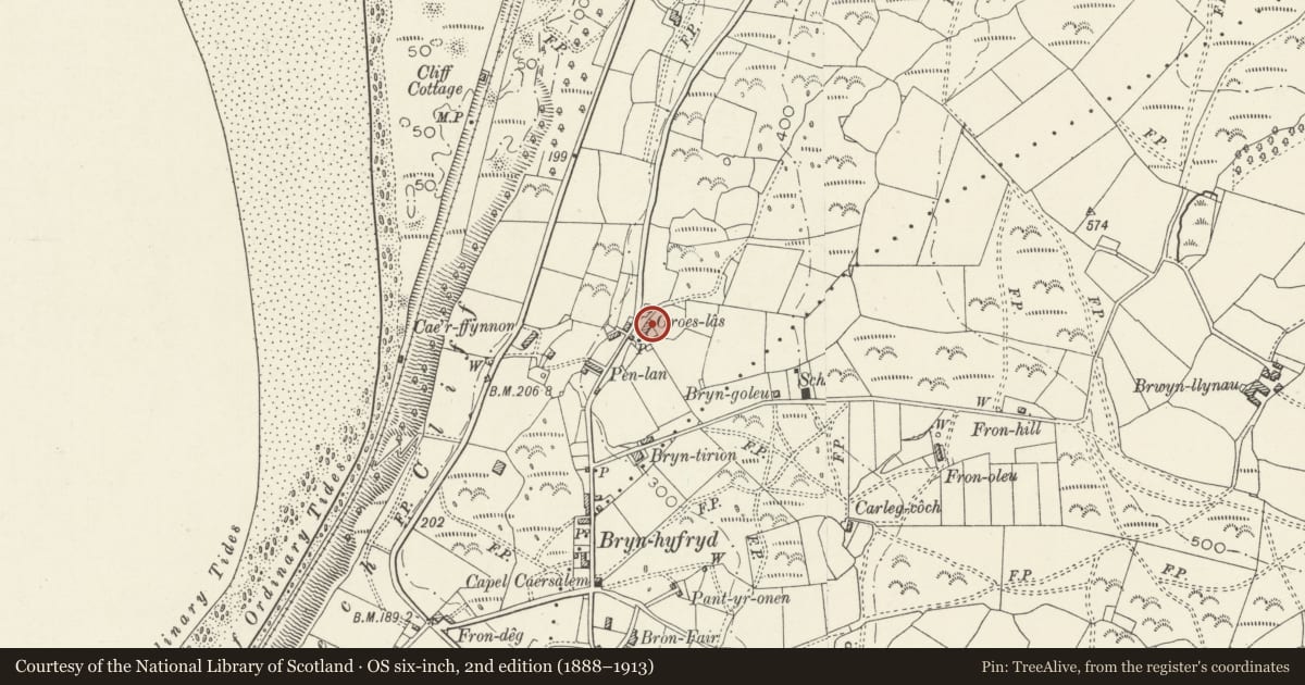 Ordnance Survey six-inch map, 2nd edition (1888–1913) covering the location of Out-kitchen and pigsty at Groes Las, Llanfair, Gwynedd, with a pin at the register's coordinates