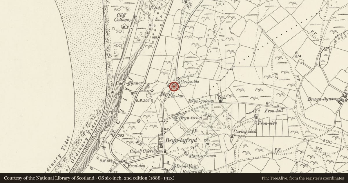 Ordnance Survey six-inch map, 2nd edition (1888–1913) covering the location of Small animal shed at Groes Las, Llanfair, Gwynedd, with a pin at the register's coordinates