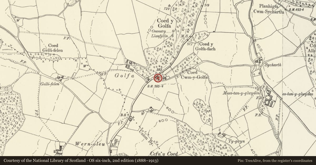 Ordnance Survey six-inch map, 2nd edition (1888–1913) covering the location of Golfa Isaf, Llangedwyn, Powys, with a pin at the register's coordinates