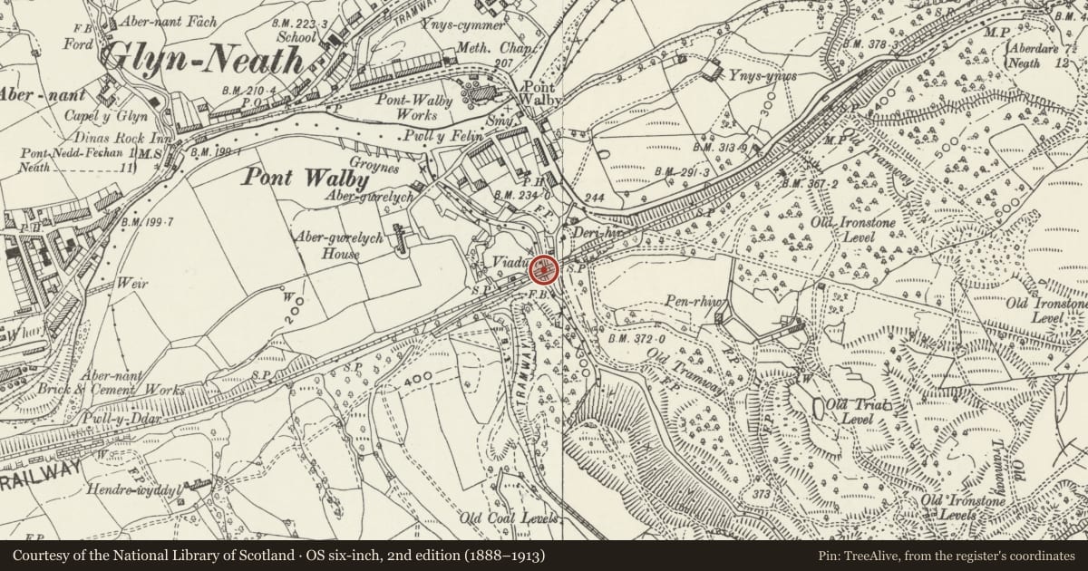 Ordnance Survey six-inch map, 2nd edition (1888–1913) covering the location of Pontwalby Railway Viaduct (partly in Blaengwrach community), Glynneath, Neath Port Talbot, with a pin at the register's coordinates