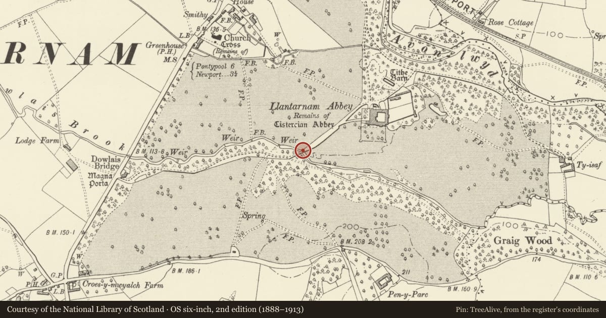 Ordnance Survey six-inch map, 2nd edition (1888–1913) covering the location of Bridge on drive at Llantarnam Abbey, Torfaen, with a pin at the register's coordinates