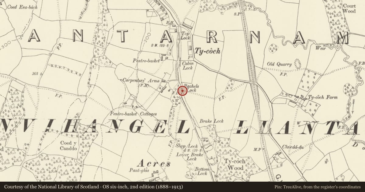 Ordnance Survey six-inch map, 2nd edition (1888–1913) covering the location of Canal bridge at Rachels Lock on Monmouthshire and Brecon Canal, Llantarnam, Torfaen, with a pin at the register's coordinates
