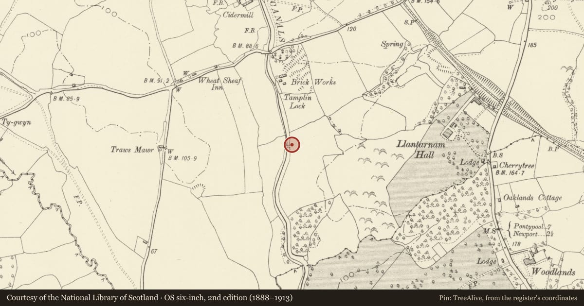 Ordnance Survey six-inch map, 2nd edition (1888–1913) covering the location of Canal bridge S of Tamplin Lock on Monmouthshire and Brecon Canal, Llantarnam, Torfaen, with a pin at the register's coordinates