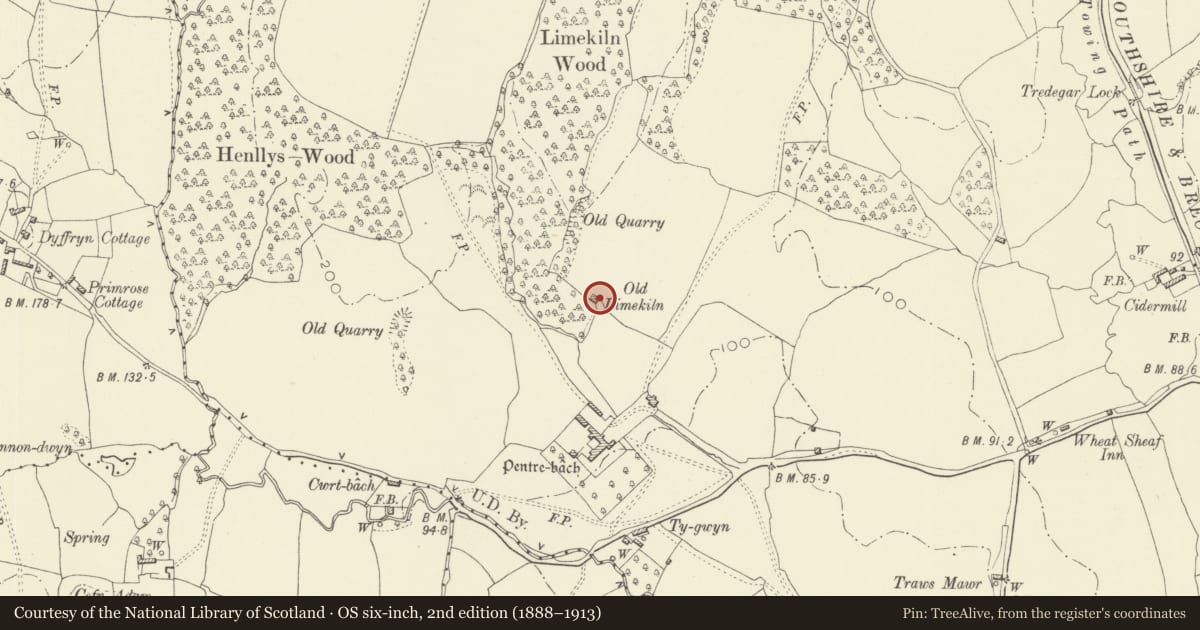 Ordnance Survey six-inch map, 2nd edition (1888–1913) covering the location of Lime kiln to N of Pentre-Bach (partly in Cwmbran Central), Llantarnam, Torfaen, with a pin at the register's coordinates