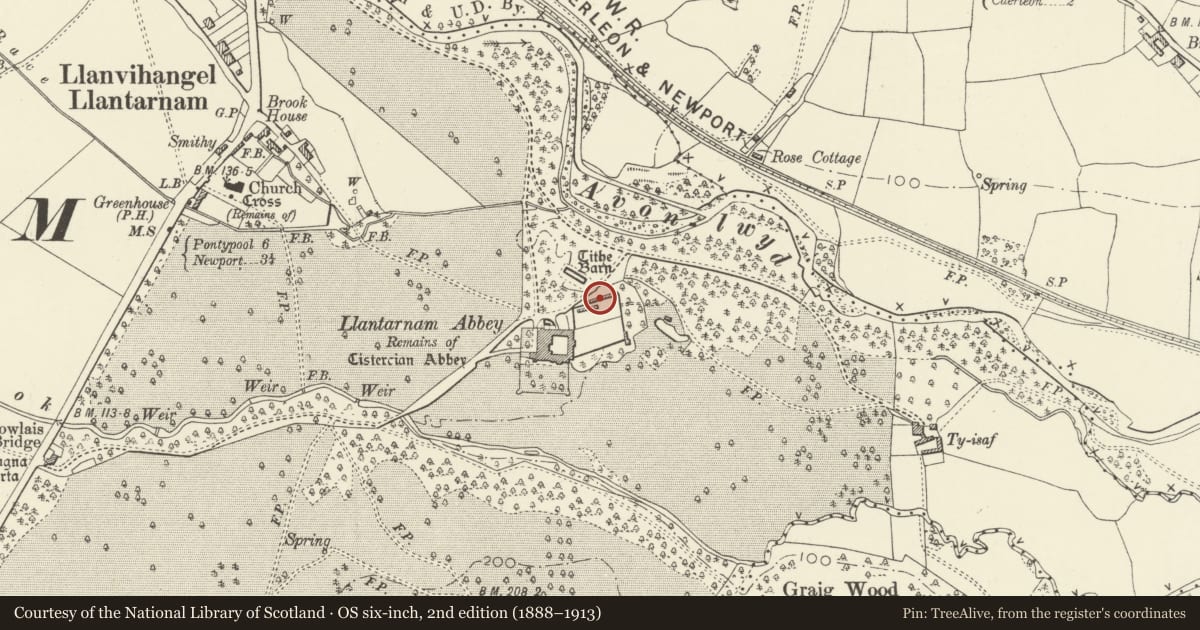 Ordnance Survey six-inch map, 2nd edition (1888–1913) covering the location of The Cottage and attached walls of walled garden at Llantarnam Abbey, Torfaen, with a pin at the register's coordinates