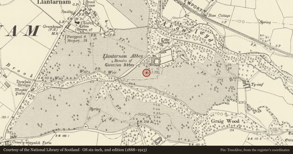 Ordnance Survey six-inch map, 2nd edition (1888–1913) covering the location of Two statues in garden to E of Llantarnam Abbey, Torfaen, with a pin at the register's coordinates