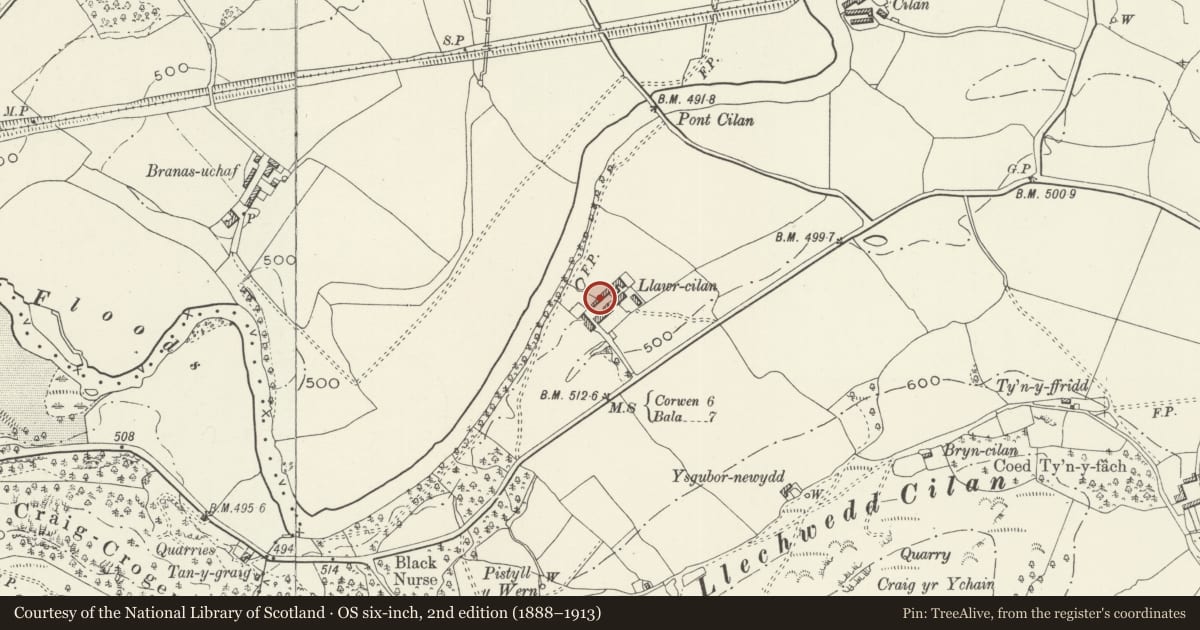 Ordnance Survey six-inch map, 2nd edition (1888–1913) covering the location of Animal House to W of Llawr Cilan Farmhouse, Llandrillo, Denbighshire, with a pin at the register's coordinates