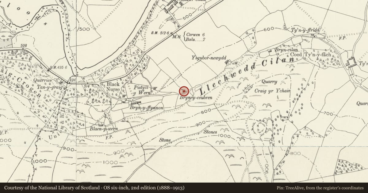 Ordnance Survey six-inch map, 2nd edition (1888–1913) covering the location of Bryn Awel, Llandrillo, Denbighshire, with a pin at the register's coordinates