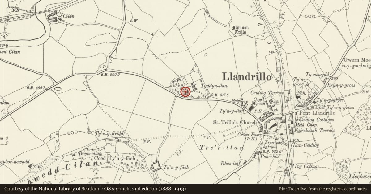 Ordnance Survey six-inch map, 2nd edition (1888–1913) covering the location of Maes Tyddyn, Llandrillo, Denbighshire, with a pin at the register's coordinates