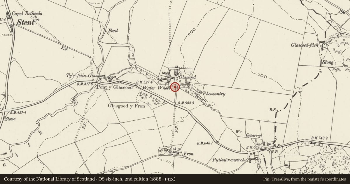 Ordnance Survey six-inch map, 2nd edition (1888–1913) covering the location of Causeway and Private Bridge on the Approach to Glascoed, Llansilin, Powys, with a pin at the register's coordinates