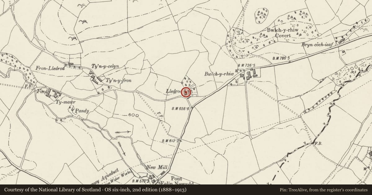 Ordnance Survey six-inch map, 2nd edition (1888–1913) covering the location of Cowhouse range at Lledrod, Llansilin, Powys, with a pin at the register's coordinates