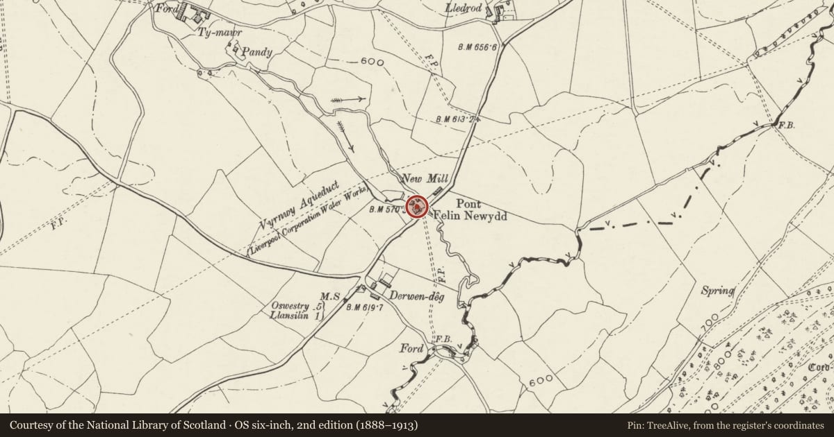 Ordnance Survey six-inch map, 2nd edition (1888–1913) covering the location of Felin-newydd (house), Llansilin, Powys, with a pin at the register's coordinates