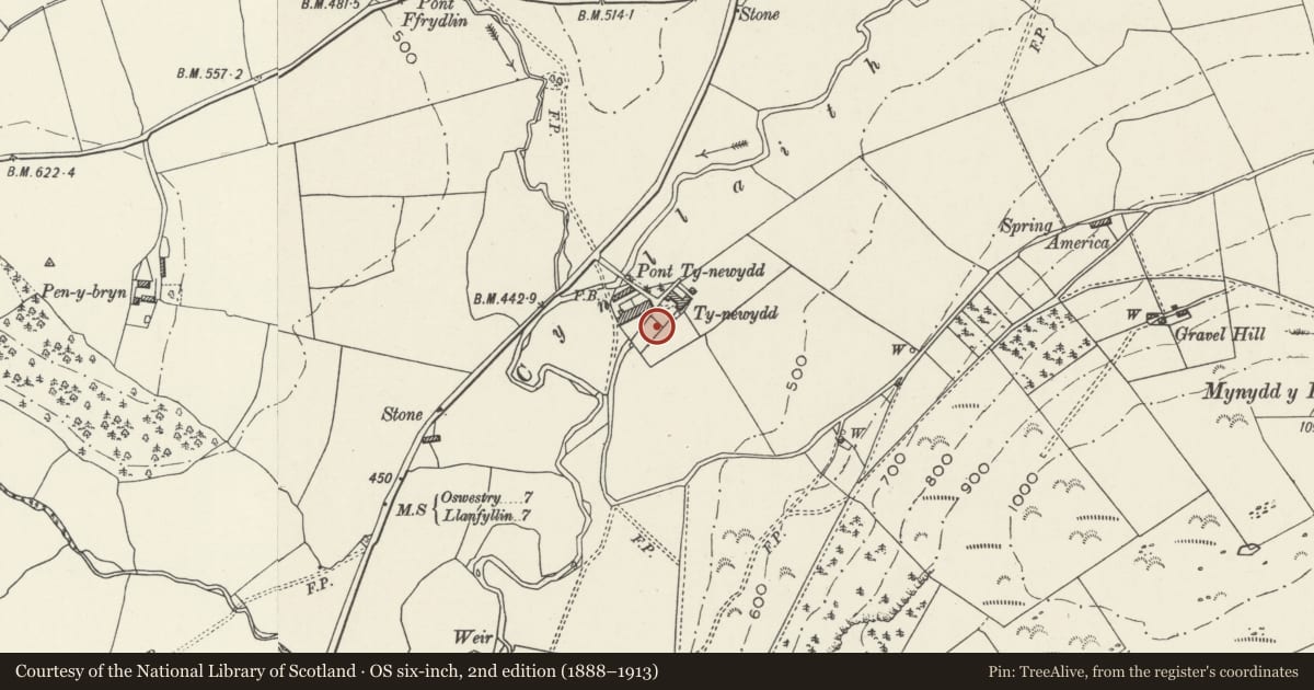 Ordnance Survey six-inch map, 2nd edition (1888–1913) covering the location of Garden and Orchard Enclosure South of Ty-newydd, Llansilin, Powys, with a pin at the register's coordinates