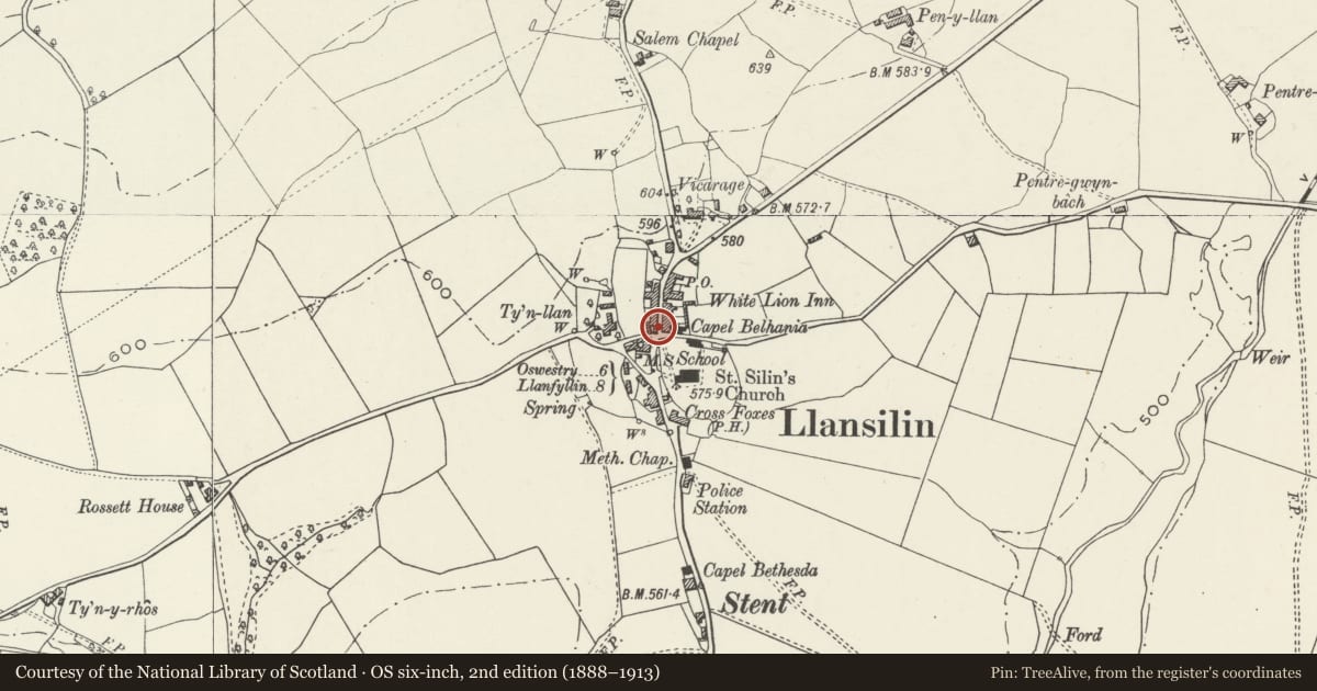 Ordnance Survey six-inch map, 2nd edition (1888–1913) covering the location of Monfa, Llansilin, Powys, with a pin at the register's coordinates
