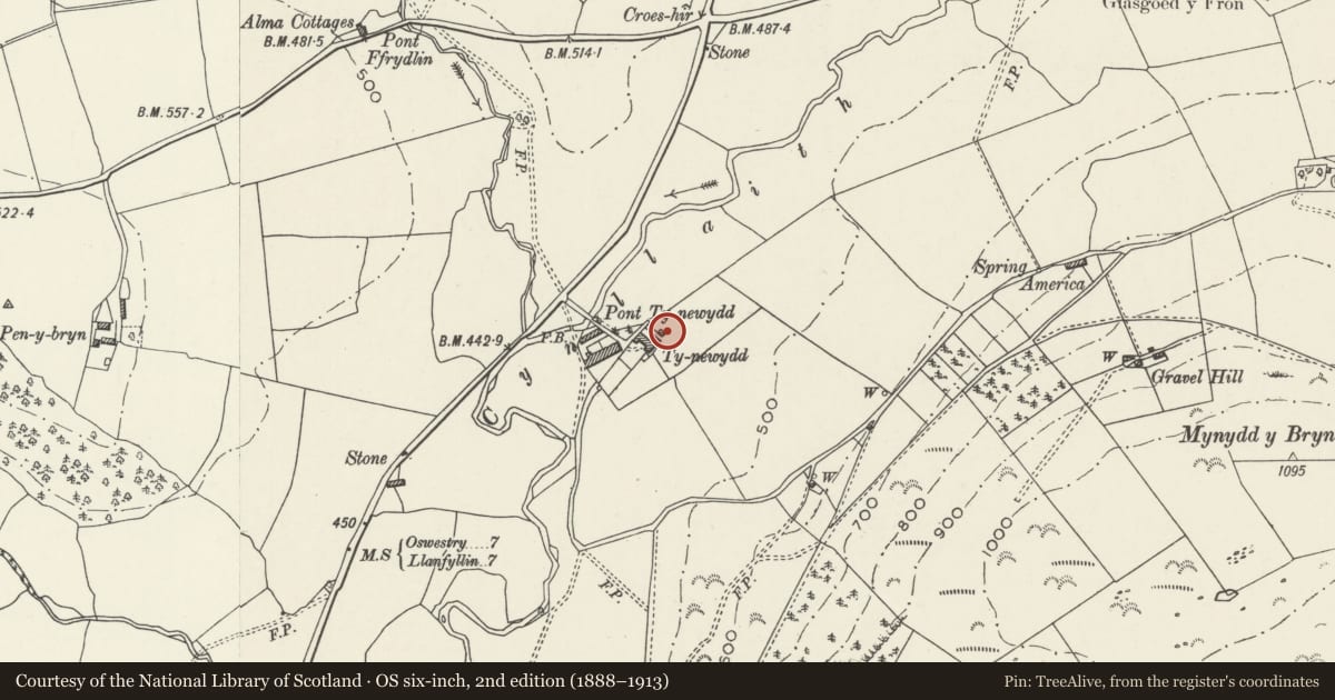 Ordnance Survey six-inch map, 2nd edition (1888–1913) covering the location of Outbuilding at north of Ty-newydd, Llansilin, Powys, with a pin at the register's coordinates
