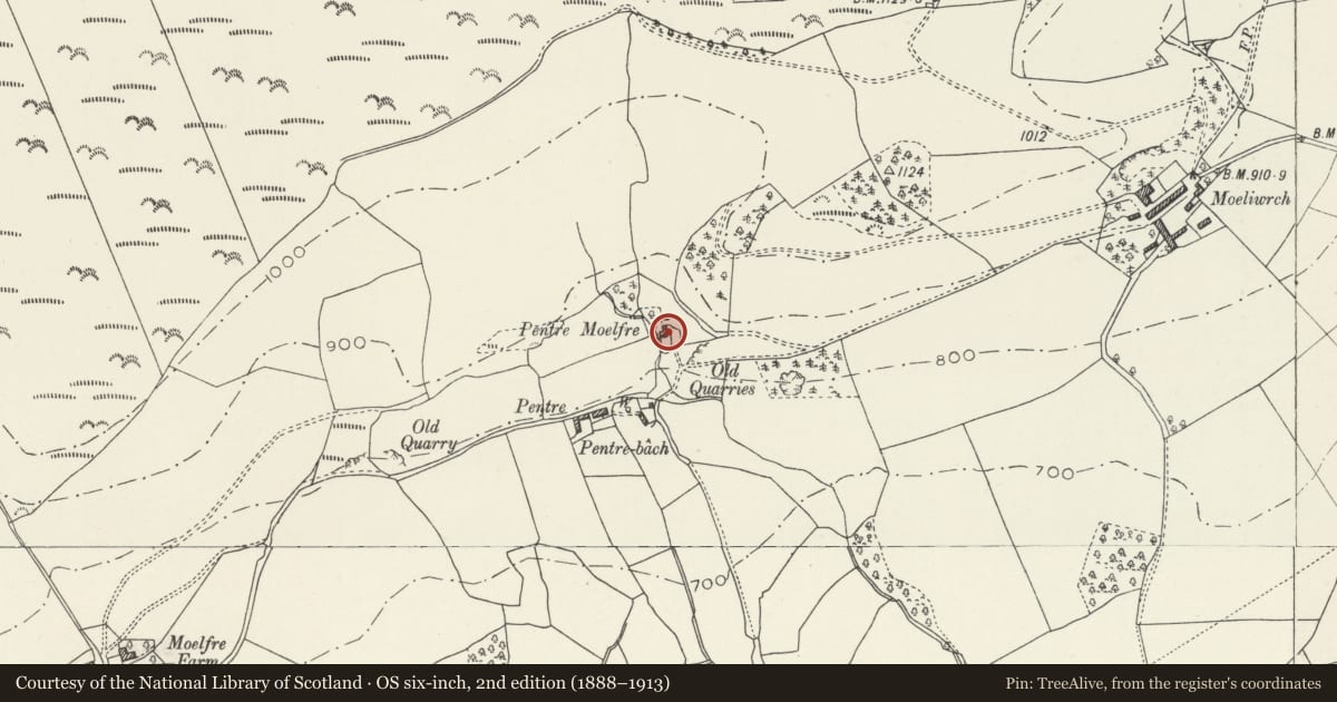 Ordnance Survey six-inch map, 2nd edition (1888–1913) covering the location of Pentre-ucha, Llansilin, Powys, with a pin at the register's coordinates