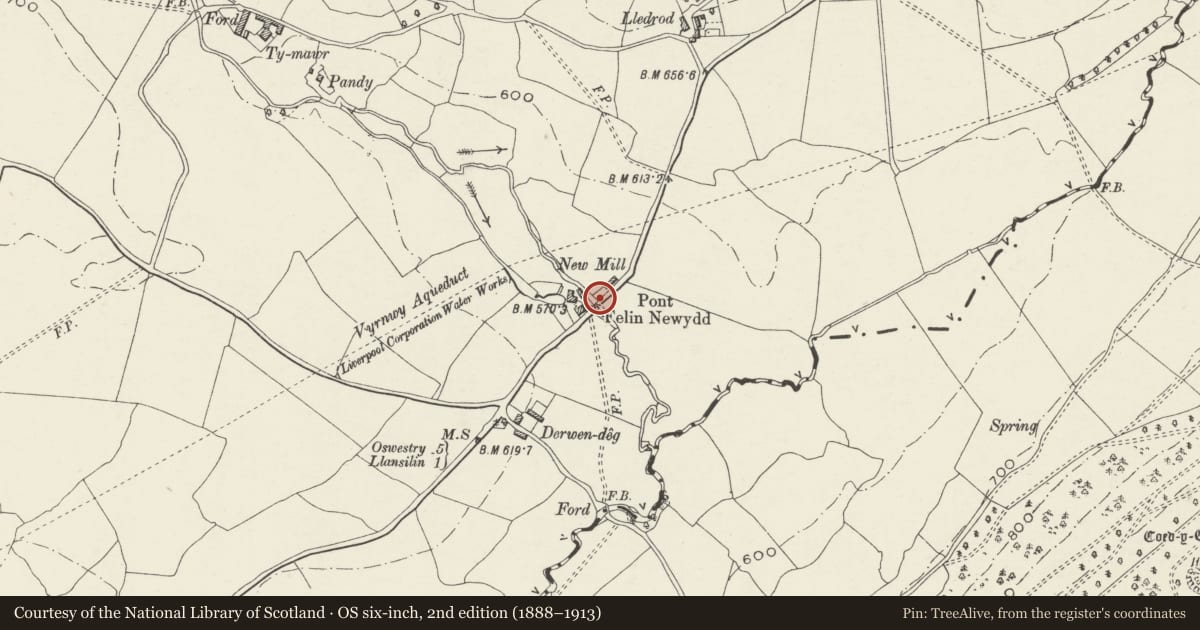Ordnance Survey six-inch map, 2nd edition (1888–1913) covering the location of Pont Felin-newydd, Llansilin, Powys, with a pin at the register's coordinates