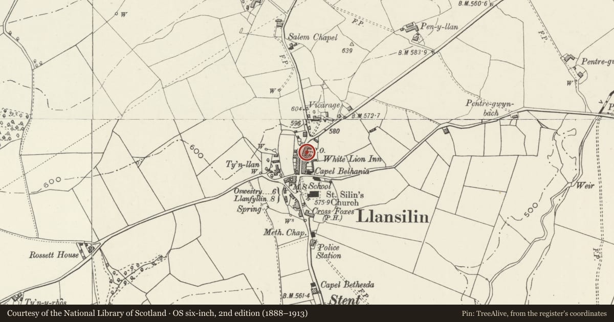 Ordnance Survey six-inch map, 2nd edition (1888–1913) covering the location of Preswylfa, Llansilin, Powys, with a pin at the register's coordinates