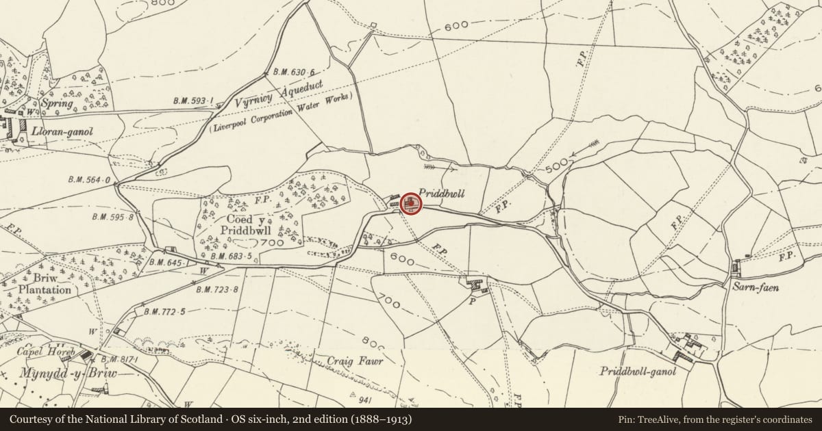 Ordnance Survey six-inch map, 2nd edition (1888–1913) covering the location of Priddbwll-bach (old house), Llansilin, Powys, with a pin at the register's coordinates