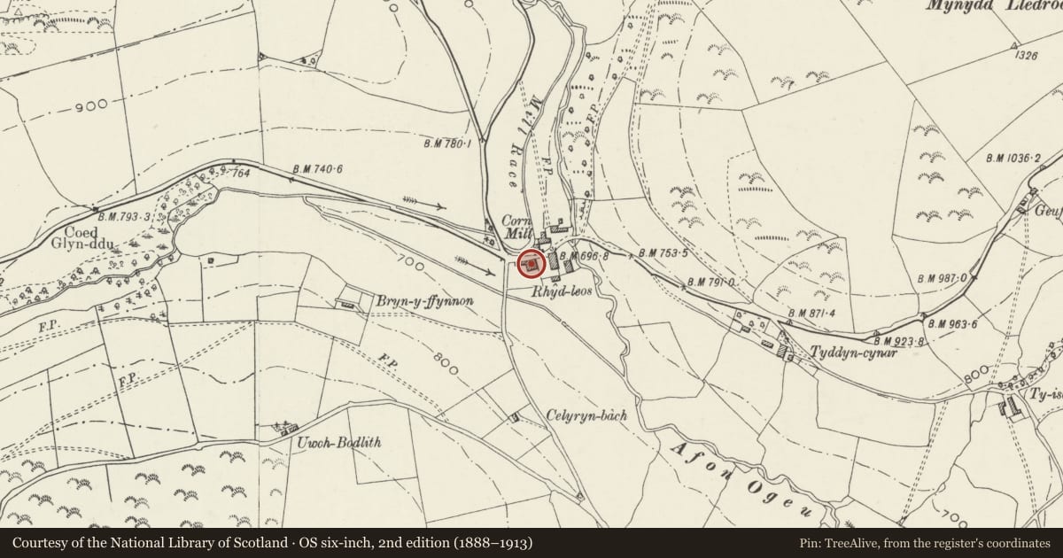 Ordnance Survey six-inch map, 2nd edition (1888–1913) covering the location of Rhydleos, Llansilin, Powys, with a pin at the register's coordinates