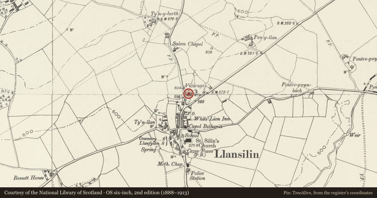 Ordnance Survey six-inch map, 2nd edition (1888–1913) covering the location of The Old Vicarage (formerly Beech Grove), Llansilin, Powys, with a pin at the register's coordinates