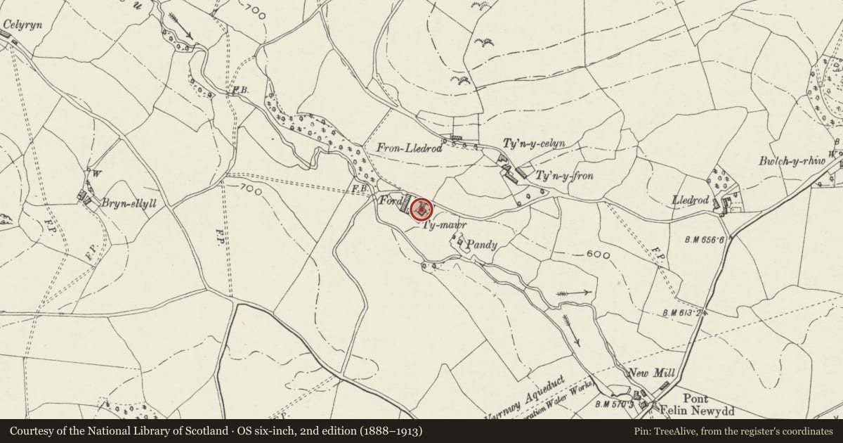 Ordnance Survey six-inch map, 2nd edition (1888–1913) covering the location of Ty-mawr, Llansilin, Powys, with a pin at the register's coordinates