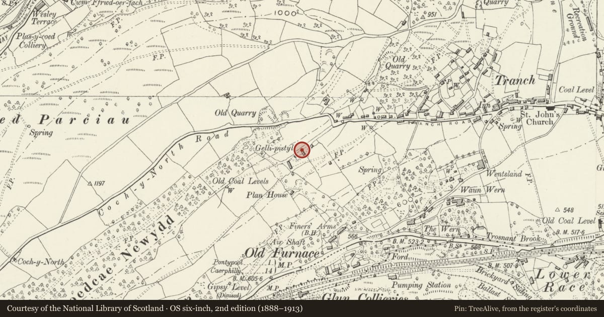 Ordnance Survey six-inch map, 2nd edition (1888–1913) covering the location of Gellipistyll, Pen Tranch, Torfaen, with a pin at the register's coordinates