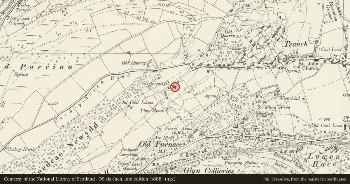 Ordnance Survey six-inch map, 2nd edition (1888–1913) covering the location of Outbuilding to SE of Gellipistyll, Pen Tranch, Torfaen, with a pin at the register's coordinates