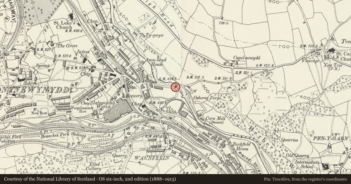 Ordnance Survey six-inch map, 2nd edition (1888–1913) covering the location of Pont Newynydd (partly in the Trevethin community), Pen Tranch, Torfaen, with a pin at the register's coordinates