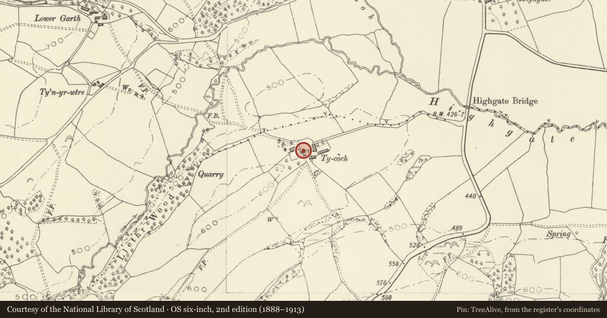Ordnance Survey six-inch map, 2nd edition (1888–1913) covering the location of Red House, Newtown and Llanllwchaiarn, Powys, with a pin at the register's coordinates