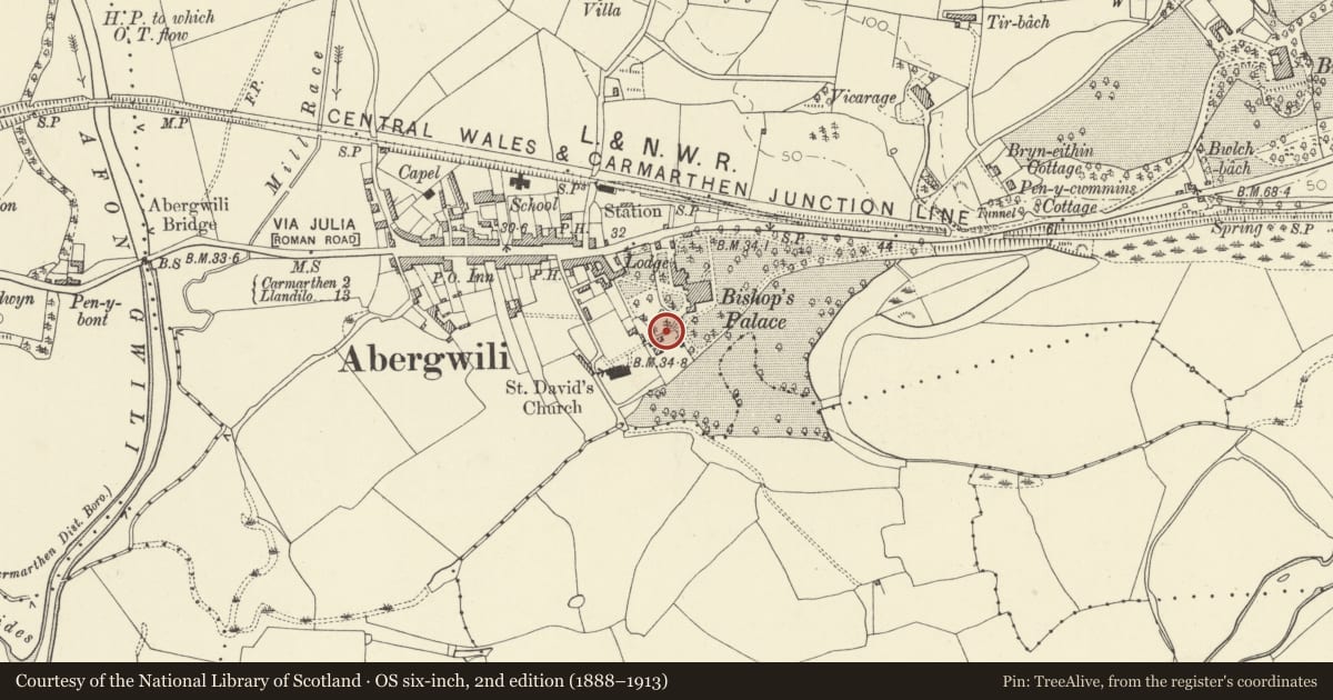 Ordnance Survey six-inch map, 2nd edition (1888–1913) covering the location of Garden walls at former Bishops Palace (Carmarthenshire County Museum), Abergwili, Carmarthenshire, with a pin at the register's coordinates