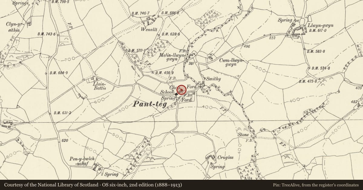 Ordnance Survey six-inch map, 2nd edition (1888–1913) covering the location of Panteg House, Abergwili, Carmarthenshire, with a pin at the register's coordinates