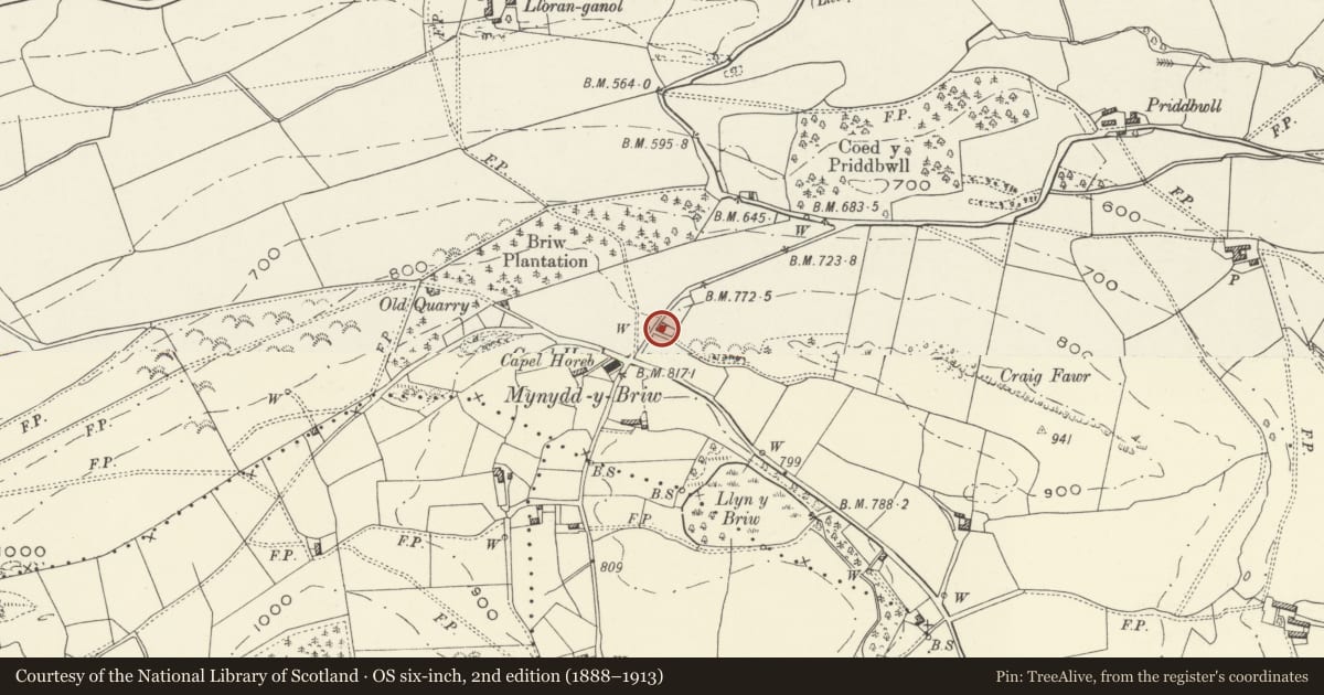 Ordnance Survey six-inch map, 2nd edition (1888–1913) covering the location of Brynffynnon, Llangedwyn, Powys, with a pin at the register's coordinates
