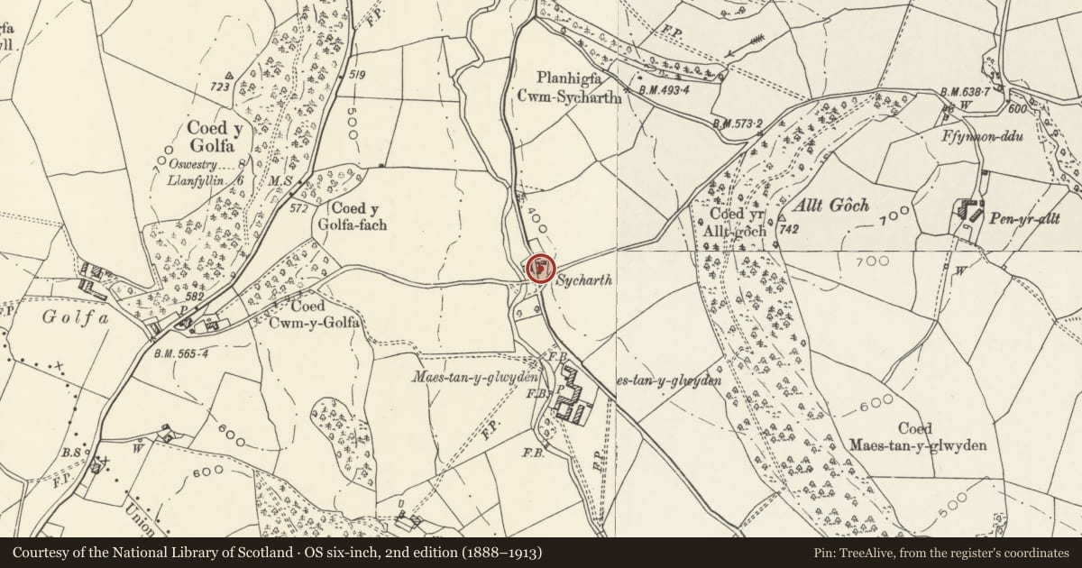 Ordnance Survey six-inch map, 2nd edition (1888–1913) covering the location of Cowhouse Range at Sycharth, Llangedwyn, Powys, with a pin at the register's coordinates