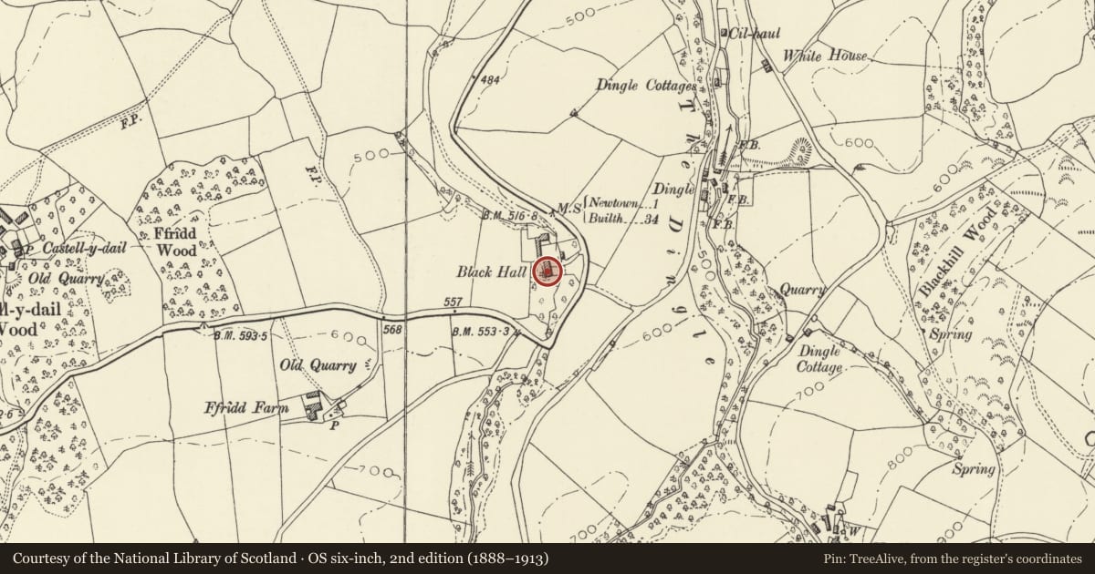 Ordnance Survey six-inch map, 2nd edition (1888–1913) covering the location of Black Hall Farmhouse, Newtown and Llanllwchaiarn, Powys, with a pin at the register's coordinates