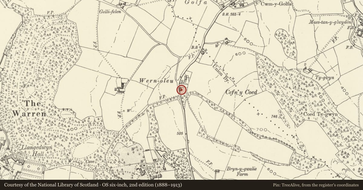 Ordnance Survey six-inch map, 2nd edition (1888–1913) covering the location of Fila Rhosyn, Llangedwyn, Powys, with a pin at the register's coordinates