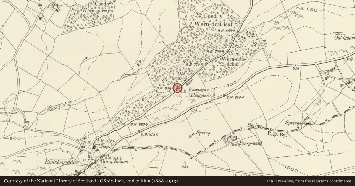 Ordnance Survey six-inch map, 2nd edition (1888–1913) covering the location of Milestone at Coed-y-wern-ddu, Llangedwyn, Powys, with a pin at the register's coordinates