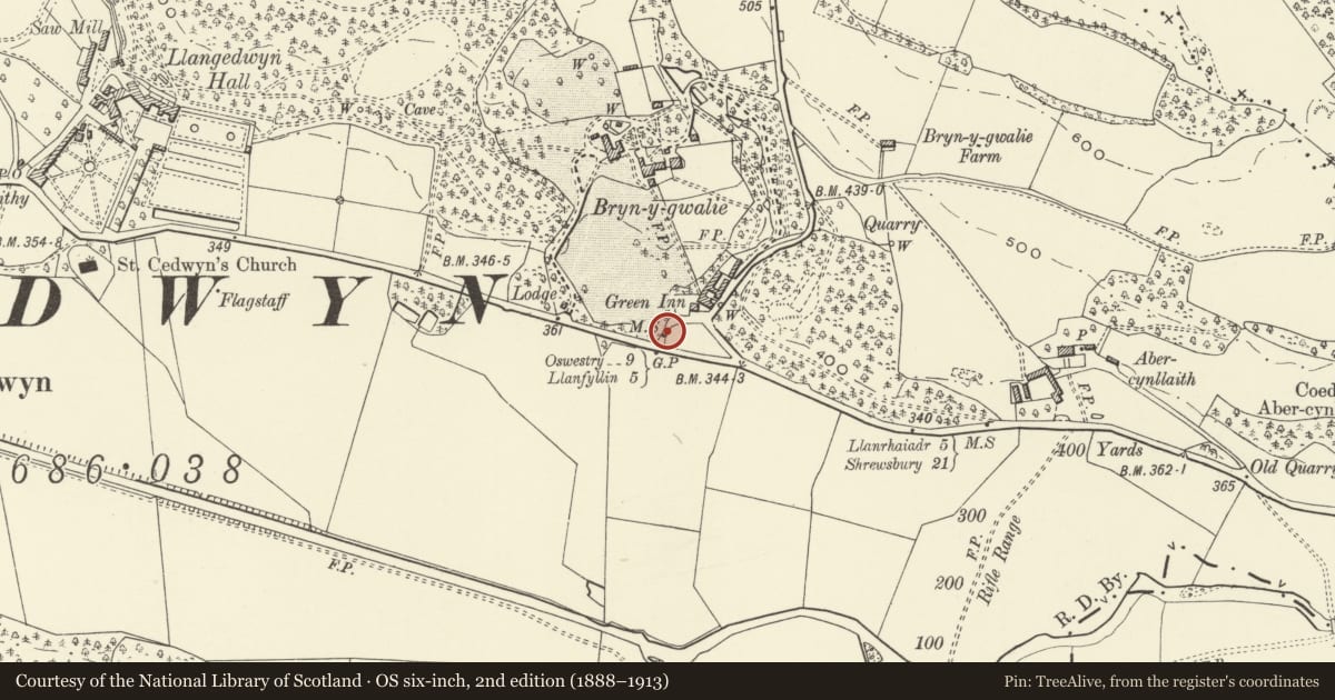 Ordnance Survey six-inch map, 2nd edition (1888–1913) covering the location of Milestone near Green Inn, Llangedwyn, Powys, with a pin at the register's coordinates