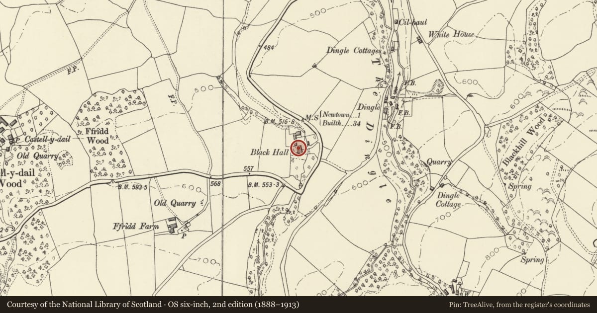 Ordnance Survey six-inch map, 2nd edition (1888–1913) covering the location of Farm Range attached to Black Hall Farmhouse, Newtown and Llanllwchaiarn, Powys, with a pin at the register's coordinates
